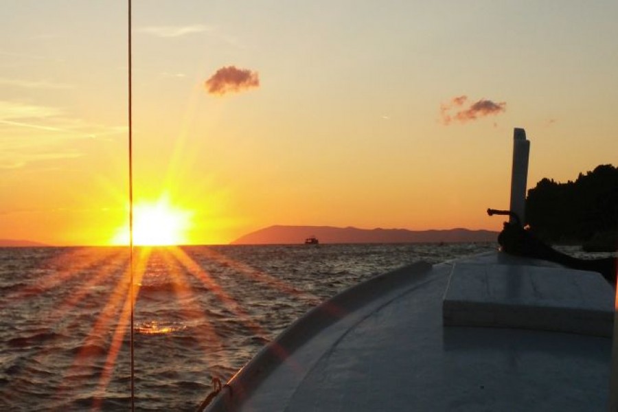 sun-7