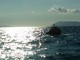 seagull-and-gajeta-2
