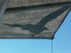 seagull-and-gajeta-7